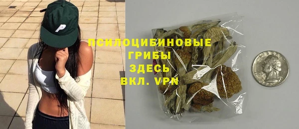прущие крисы Магас