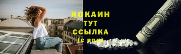 прущие крисы Магас