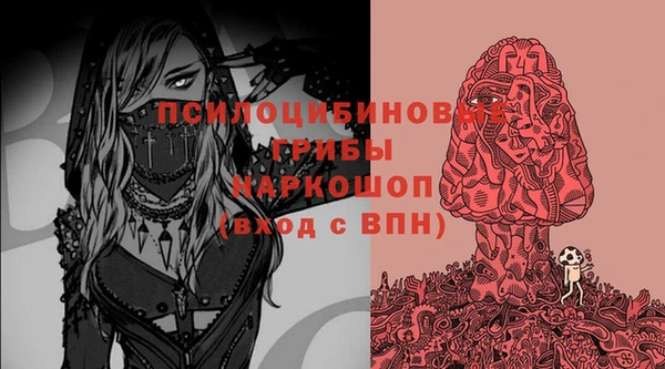 альфа пвп Медвежьегорск