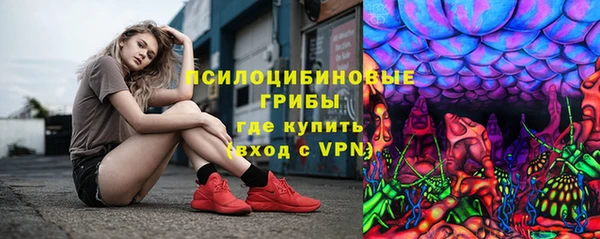 герыч Бердск