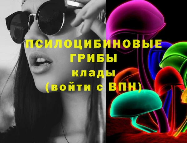 альфа пвп Медвежьегорск
