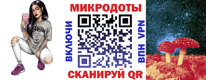 hydra   Ухта  Галлюциногенные грибы Psilocybine cubensis 